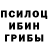 Псилоцибиновые грибы мухоморы Rita Kulkova