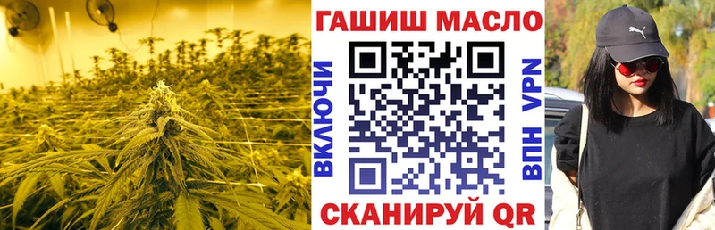 OMG   Заозёрск  ТГК Wax 